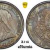 Great Britain, Victoria, Shilling 1895, nicely toned, PCGS MS 64