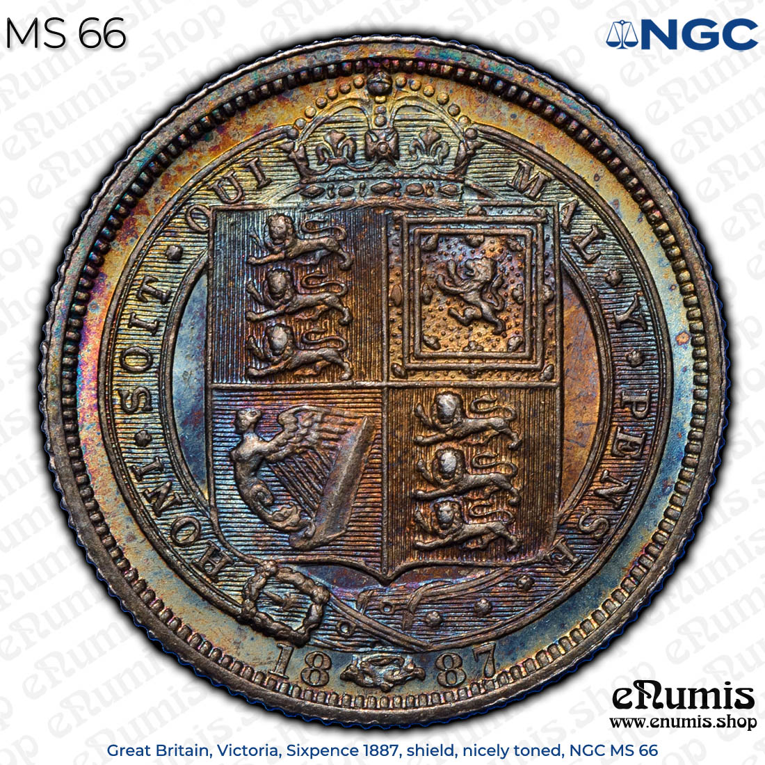 Great Britain, Victoria, Sixpence 1887, shield, nicely toned, NGC MS 66 Great Britain, Victoria, Sixpence 1887, shield, nicely toned, NGC MS 66