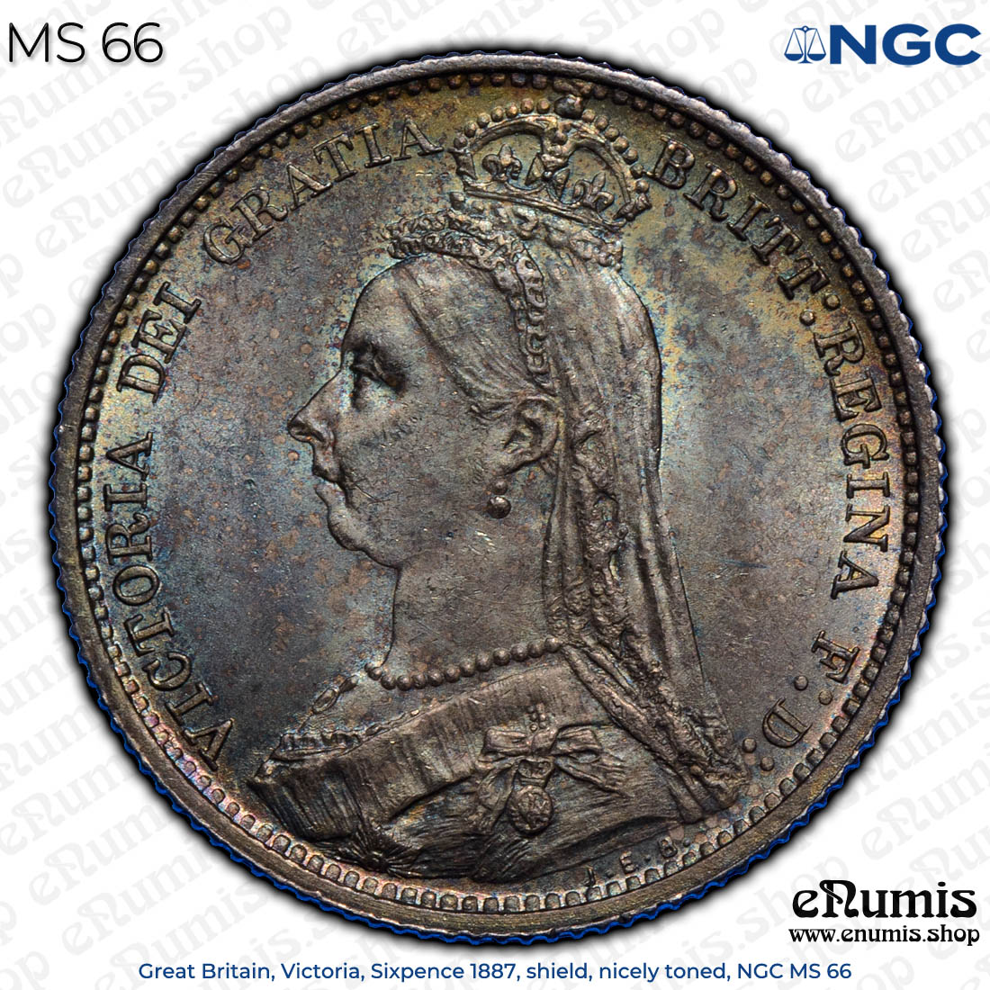 Great Britain, Victoria, Sixpence 1887, shield, nicely toned, NGC MS 66 Great Britain, Victoria, Sixpence 1887, shield, nicely toned, NGC MS 66