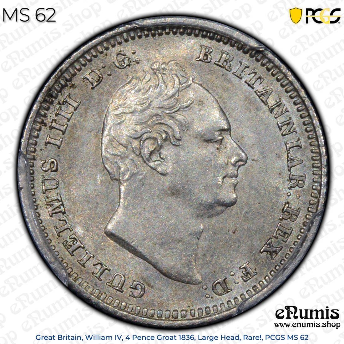 Great Britain, William IV, 4 Pence Groat 1836, Large Head, Rare!, PCGS MS 62 Great Britain, William IV, 4 Pence Groat 1836, Large Head, Rare!, PCGS MS 62