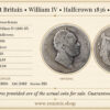 Great Britain, William IV, Halfcrown 1836, Fine